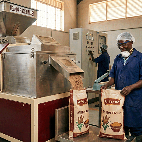 millet flour